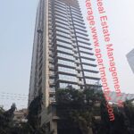 Realtors/ Consultancy at Investor Properties -Rent,Sales or Buying