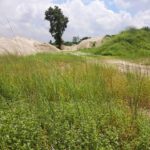 Jalshiri Army Abason project Plot sale Road-503
