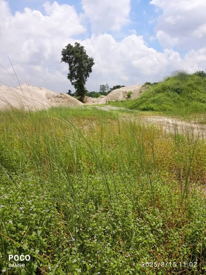 Jalshiri Army Abason project Plot sale Road-503